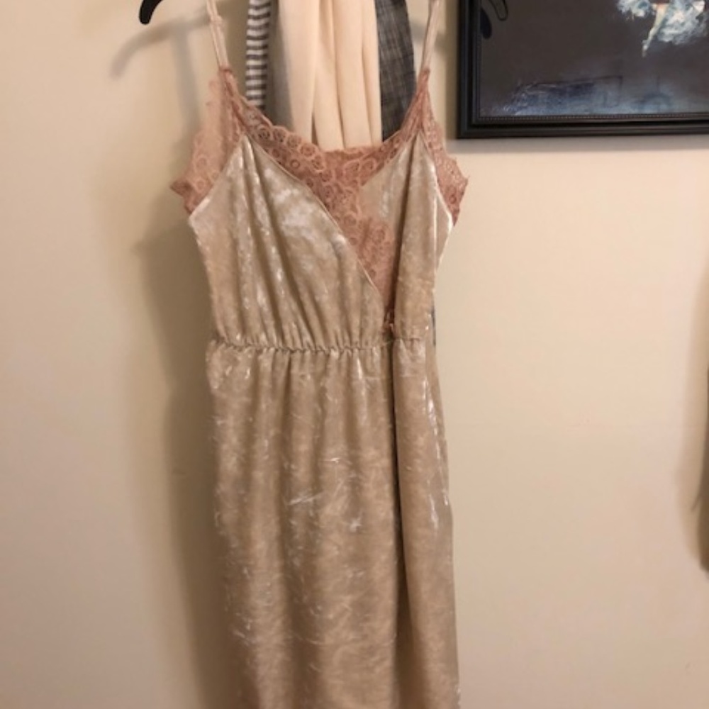 Madison & Berkeley Blush Velvet Dress